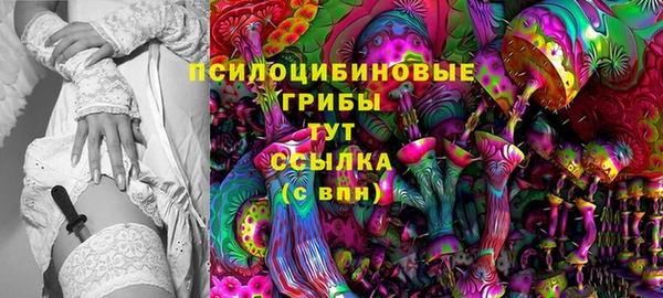 ALPHA-PVP Няндома