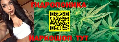 Альфа ПВП Камышлов