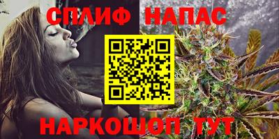 Альфа ПВП Камышлов