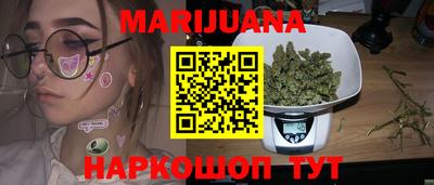 прущие крисы Бийск