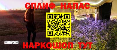 Альфа ПВП Камышлов