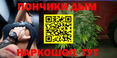Альфа ПВП Камышлов