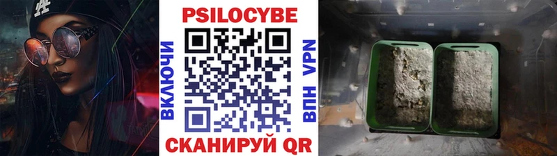 Галлюциногенные грибы GOLDEN TEACHER  Мегион 