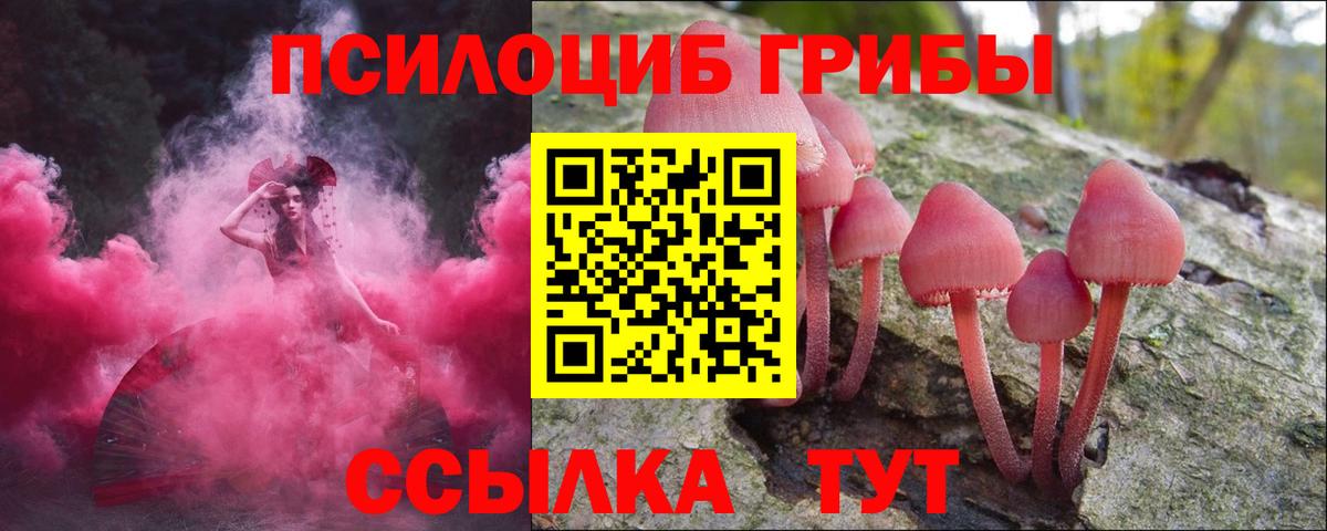 Мегион  Псилоцибиновые грибы GOLDEN TEACHER  Вход с VPN 